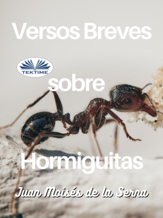 Обложка книги «Versos Breves Sobre Hormiguitas»