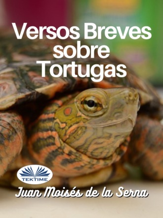 Обложка книги «Versos Breves Sobre Tortugas»