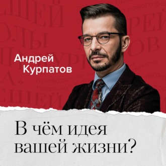 Обложка книги «В чем идея и смысл вашей жизни?»