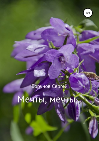 Борунов Сергей. Мечты, Мечты…