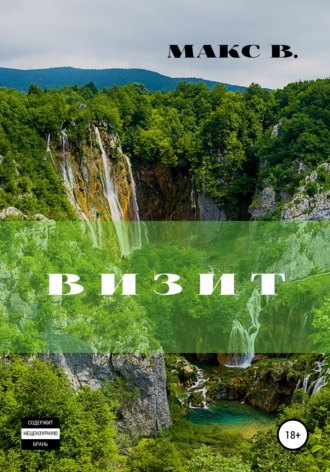 Обложка книги «Визит»