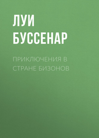 Обложка книги «Приключения в стране бизонов»