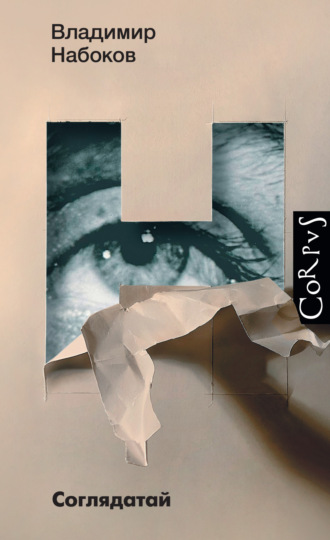Обложка книги «Соглядатай»