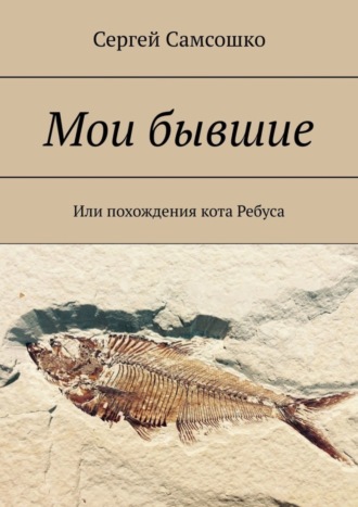 Сергей Самсошко. Мои бывшие. Или похождения кота Ребуса