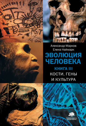 Обложка книги «Кости, гены и культура»