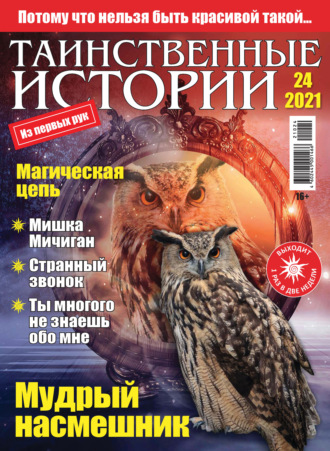 Обложка книги «Таинственные истории №24/2021»