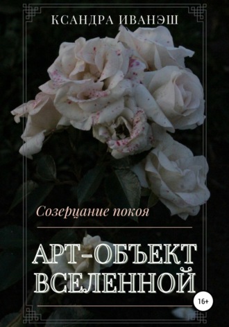 Обложка книги «Арт-объект Вселенной»
