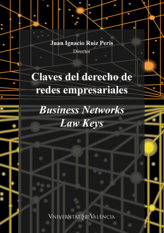 AAVV. Claves del derecho de redes empresariales