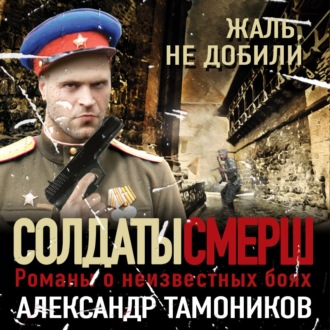 Обложка книги «Жаль, не добили»