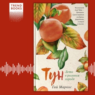 Обложка книги «Тун. Лето в розовом городе»