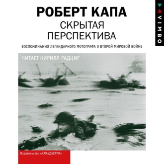 Обложка книги «Скрытая перспектива»