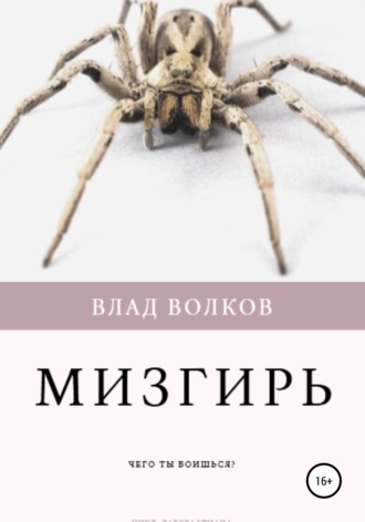 Обложка книги «Мизгирь»