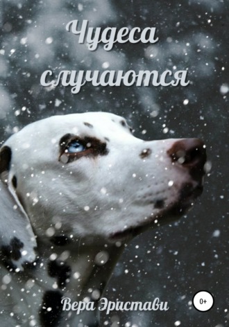 Обложка книги «Чудеса случаются»