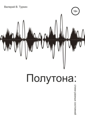 Валерий Владимирович Туркин. Полутона: стихи разных состояний