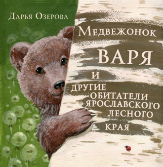 Дарья Озерова. Медвежонок Варя и другие обитатели ярославского лесного края