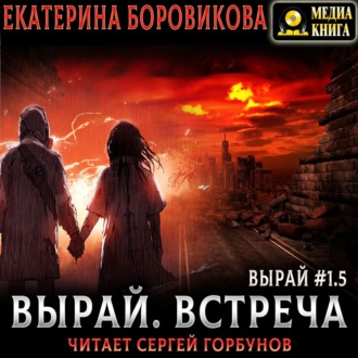 Обложка книги «Вырай 1.5. Встреча»
