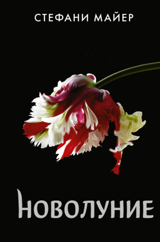 Обложка книги «Новолуние»