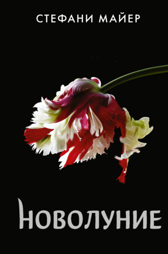 Стефани Майер. Новолуние