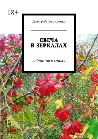 Дмитрий Гавриленко. Свеча в зеркалах. Избранные стихи