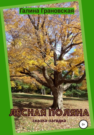 Обложка книги «Лесная Поляна. Сказка-загадка»