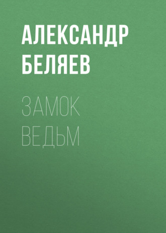 Обложка книги «Замок ведьм»