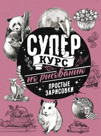 Обложка книги «Суперкурс по рисованию. Простые зарисовки»