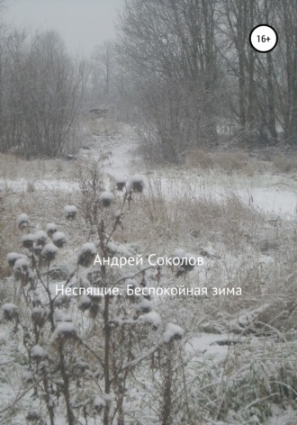 Андрей Николаевич Соколов. Неспящие. Беспокойная зима