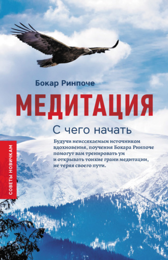Обложка книги «Медитация. С чего начать. Советы новичкам»