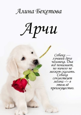 Обложка книги «Арчи»