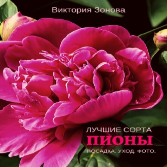 Обложка книги «Пионы. Лучшие сорта»