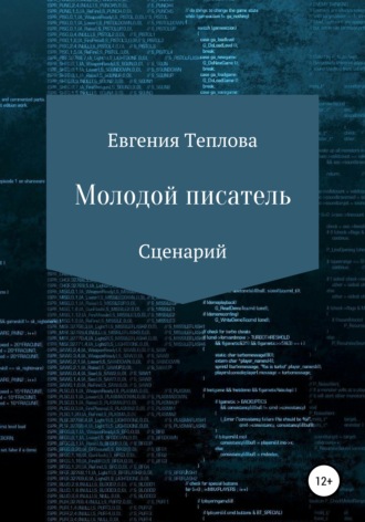 Обложка книги «Молодой писатель»