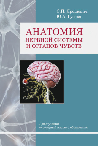 Обложка книги «Анатомия нервной системы и органов чувств»