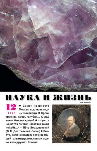 Обложка книги «Наука и жизнь №12/2021»
