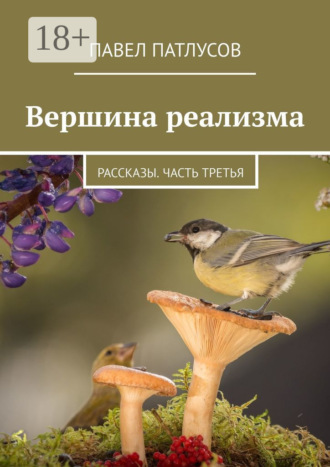 Обложка книги «Вершина реализма. Рассказы. Часть третья»