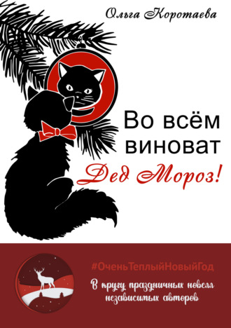 Обложка книги «Во всём виноват Дед Мороз!»