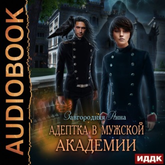 Обложка книги «Адептка в мужской академии»