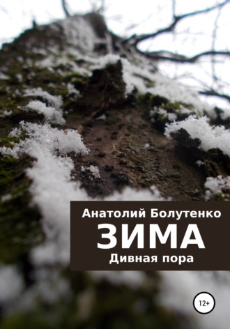 Обложка книги «Зима. Дивная пора»