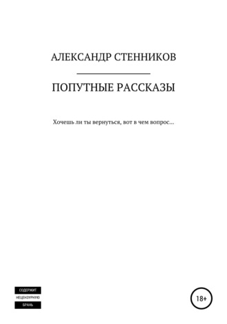 Александр Викторович Стенников. Попутные рассказы