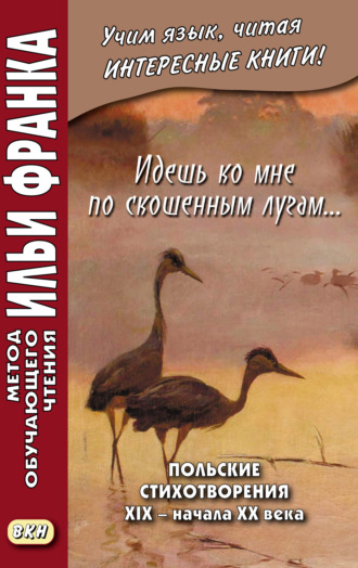 Обложка книги «Идешь ко мне по скошенным лугам… Польские стихотворения XIX – начала XX века»