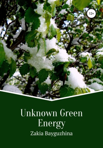 Обложка книги «Unknown Green Energy»