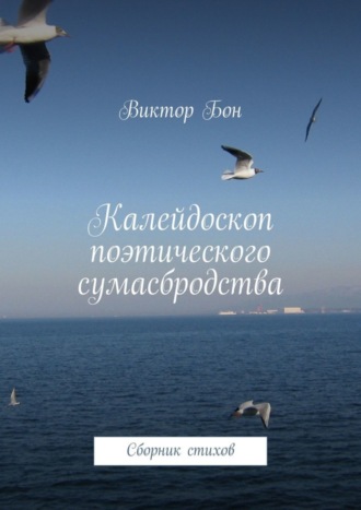 Обложка книги «Калейдоскоп поэтического сумасбродства. Сборник стихов»