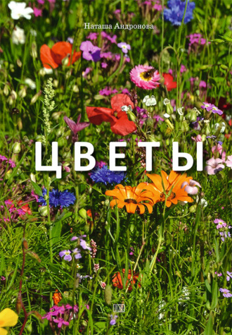 Обложка книги «Цветы»