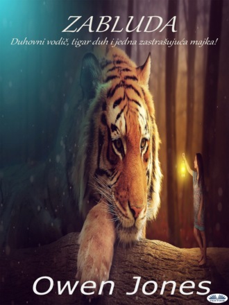 Обложка книги «Zabluda»