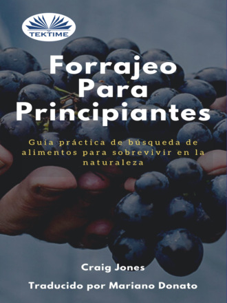 Обложка книги «Forrajeo Para Principiantes»