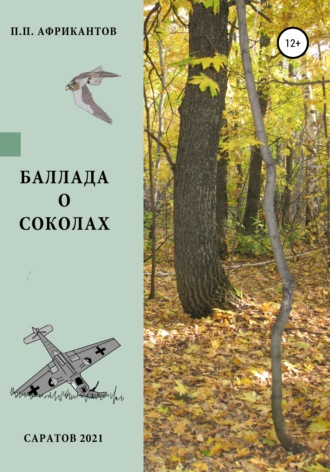 Обложка книги «Баллада о соколах»