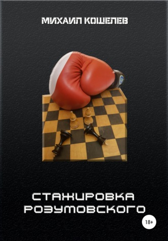 Обложка книги «Стажировка Розумовского»