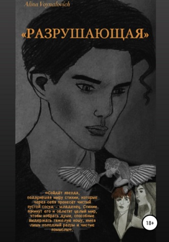 Обложка книги «Разрушающая»