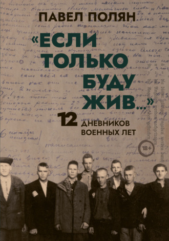 Обложка книги ««Если только буду жив…» 12 дневников военных лет»