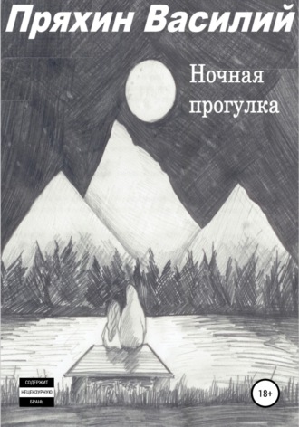 Обложка книги «Ночная прогулка»