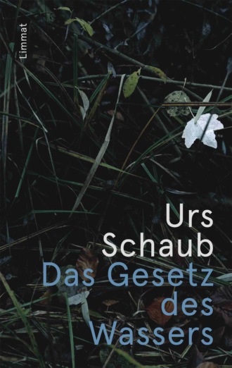 Urs Schaub. Das Gesetz des Wassers